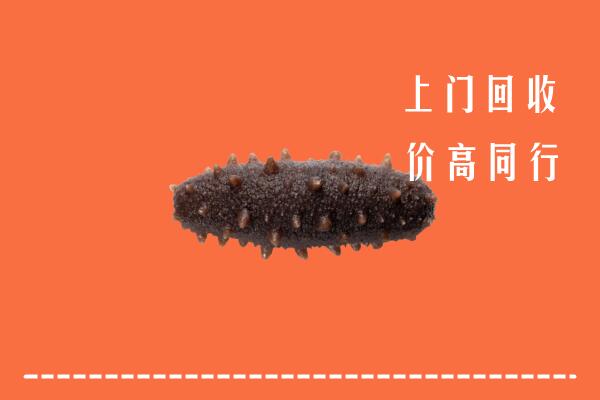 高价求购：伊春市嘉荫回收海参