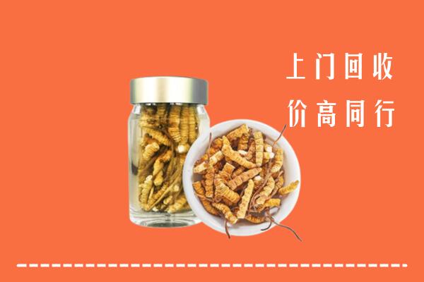 伊春市嘉荫回收冬虫夏草